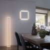 Paul-Neuhaus Q-KAAN Lámpara de Techo LED Acero bruñido, 2 luces, Mando a distancia