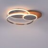 Paul-Neuhaus PALMA Lámpara de Techo LED Crudo, Acero bruñido, 1 luz, Mando a distancia