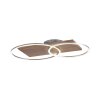 Paul-Neuhaus PALMA Lámpara de Techo LED Crudo, Acero bruñido, 2 luces, Mando a distancia
