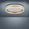 Paul-Neuhaus Q-VITO Lámpara de Techo LED Latón, 1 luz, Mando a distancia