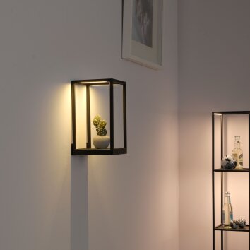 Paul-Neuhaus CONTURA Aplique LED Negro, 2 luces