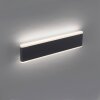 Paul-Neuhaus ELSA Aplique para exterior LED Antracita, 2 luces