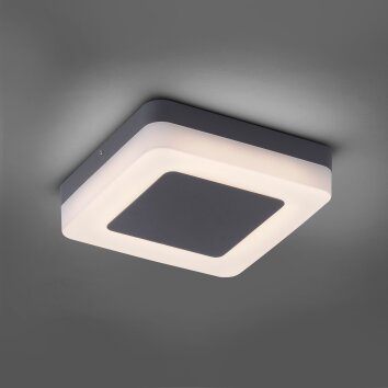 Paul-Neuhaus FABIAN Aplique para exterior LED Antracita, 1 luz