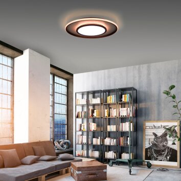 Leuchten-Direkt ARENDA Lámpara de Techo LED Negro, 1 luz, Mando a distancia, Cambia de color