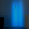 Leuchten-Direkt HENRY Lámpara de Pie LED Acero bruñido, 1 luz, Mando a distancia