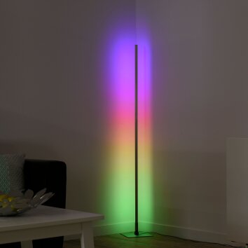 Leuchten-Direkt HENRY Lámpara de Pie LED Acero bruñido, 1 luz, Mando a distancia