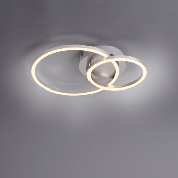 Leuchten-Direkt IVANKA Lámpara de Techo LED Acero bruñido, 1 luz