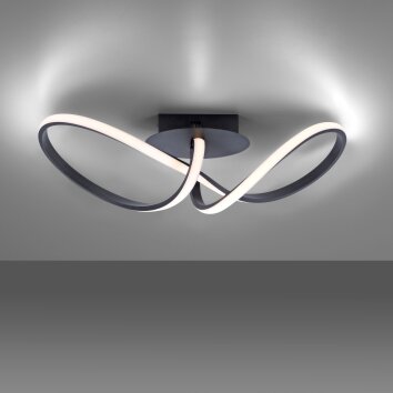 Leuchten-Direkt MARIA Lámpara de Techo LED Negro, 1 luz