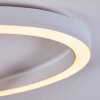 Sorte Lámpara de Techo LED Blanca, 1 luz