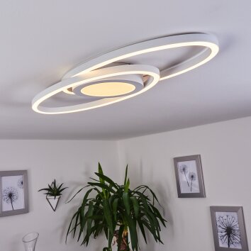 Sorte Lámpara de Techo LED Blanca, 1 luz