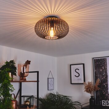 Oravi Lámpara de Techo Negro, 1 luz
