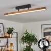 Maumela Lámpara de Techo LED Negro, 1 luz