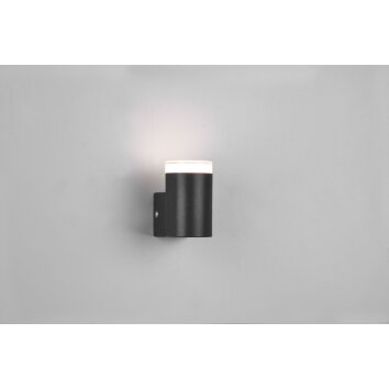 Trio-Leuchten Ray Aplique LED Negro, 1 luz