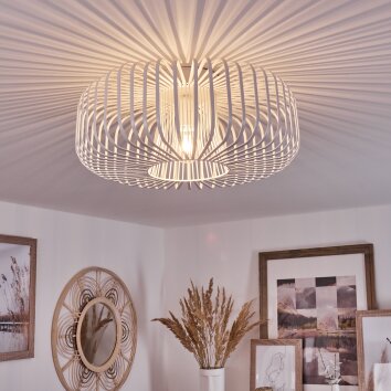 Wemude Lámpara de Techo Blanca, 1 luz