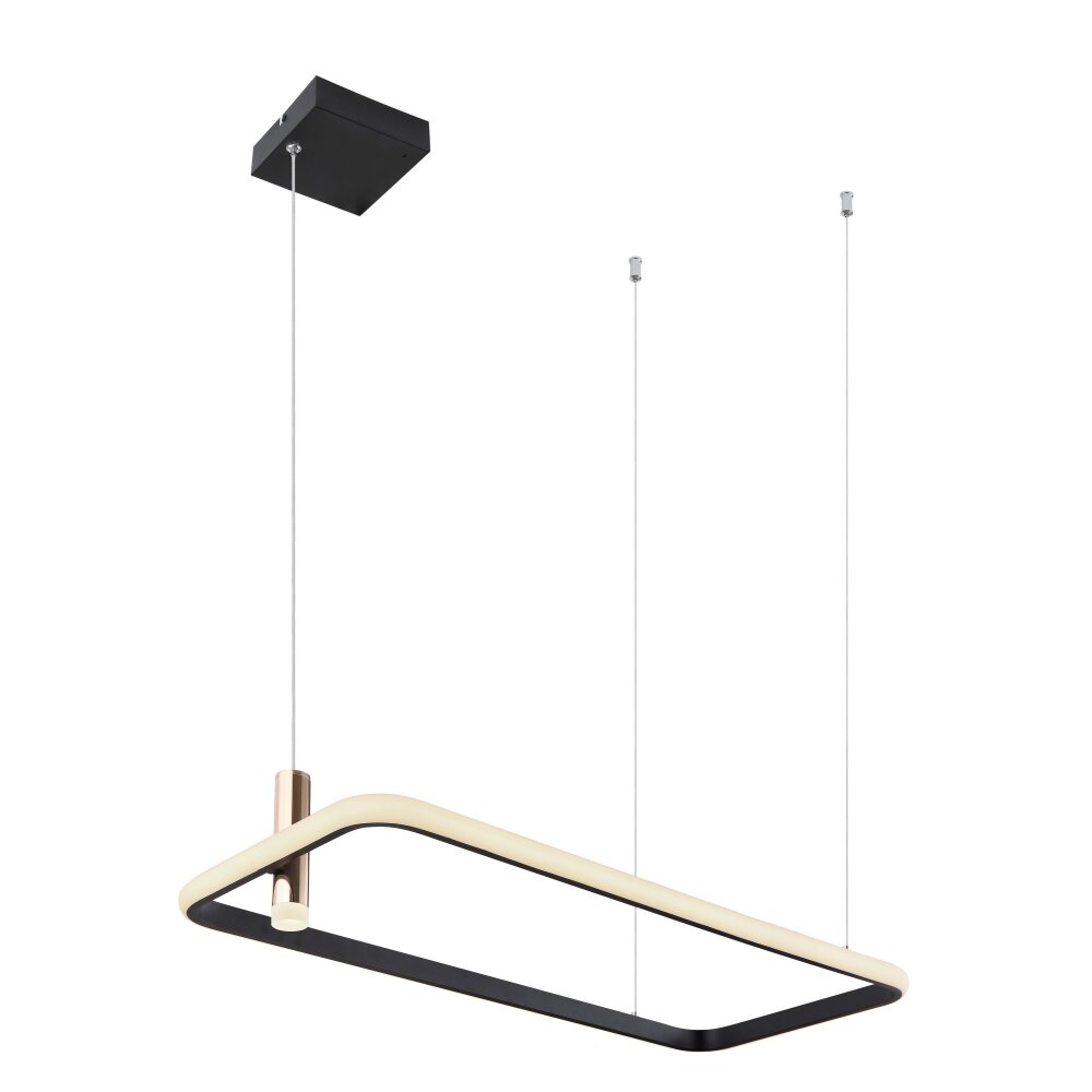 Globo COCO Lámpara Colgante LED Negro, 1 luz, Mando a distancia main product photo