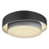 Globo NORBERT Lámpara de Techo LED Negro, 1 luz, Mando a distancia