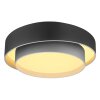 Globo NORBERT Lámpara de Techo LED Negro, 1 luz, Mando a distancia