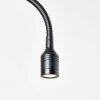 Brilliant-Leuchten Rayan Aplique LED Madera clara, Negro, 1 luz