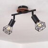 Baripada Lámpara de Techo Madera oscura, Negro, 2 luces