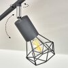 Baripada Lámpara de Techo Antracita, Cromo, 6 luces