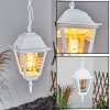 Naofe luminaria colgante para exteriores Blanca, 1 luz