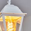 Naofe luminaria colgante para exteriores Blanca, 1 luz