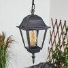 Naofe luminaria colgante para exteriores Negro, 1 luz