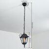 Naofe luminaria colgante para exteriores Negro, 1 luz