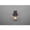 Trio-Leuchten Cavado Aplique Antracita, 1 luz