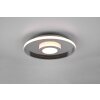 Trio-Leuchten Ascari Lámpara de Techo LED Cromo, 1 luz