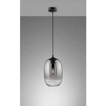 Fischer-Honsel Trace Lámpara Colgante Negro, 1 luz