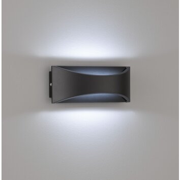 Fischer-Honsel Rio Aplique para exterior LED Negro, 1 luz