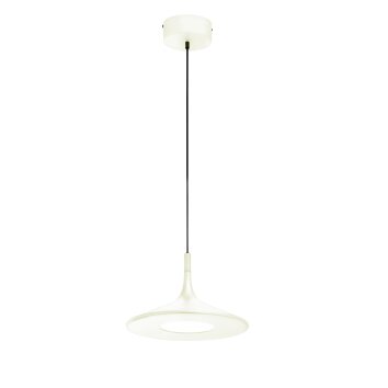 SCHÖNER-WOHNEN-Kollektion Slim Lámpara Colgante LED Colores crema, 1 luz