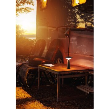 FHL-easy Pinto Lámpara de mesa LED Negro, 1 luz
