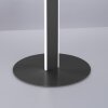 Paul-Neuhaus Q-VITO Lámpara de Pie LED Antracita, 3 luces, Mando a distancia