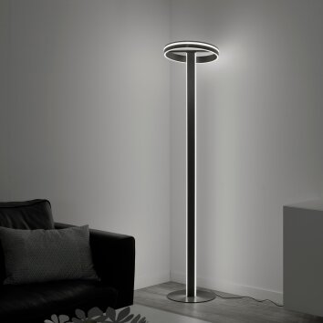 Paul-Neuhaus Q-VITO Lámpara de Pie LED Antracita, 3 luces, Mando a distancia