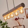 Canedo Lámpara Colgante Gris, Negro, 5 luces