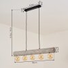 Canedo Lámpara Colgante Gris, Negro, 5 luces