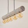 Canedo Lámpara Colgante Gris, Negro, 5 luces