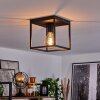 Malao Lámpara de Techo Negro, 1 luz
