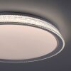 Leuchten-Direkt KARI Lámpara de Techo LED Plata, 1 luz