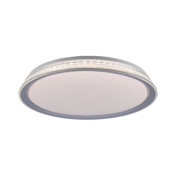 Leuchten-Direkt KARI Lámpara de Techo LED Plata, 1 luz