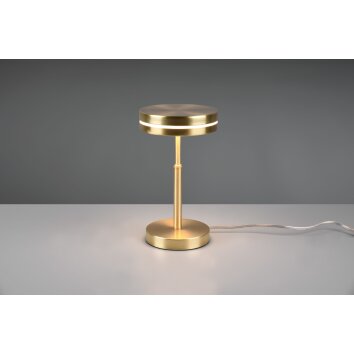 Trio-Leuchten Franklin Lámpara de mesa LED Latón, 1 luz