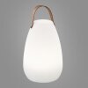 FHL-easy Ruby Lámpara de mesa LED Blanca, 1 luz, Mando a distancia, Cambia de color