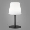 FHL-easy Garden Lámpara de mesa LED Antracita, 1 luz, Cambia de color