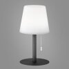 FHL-easy Garden Lámpara de mesa LED Antracita, 1 luz, Cambia de color