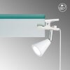 FHL-easy Zirbel Lámpara con pinza LED Blanca, 1 luz