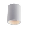 Luce-Design Banjie Lámpara de Techo puede ser pintada con colores estándar, Blanca, 1 luz