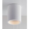 Luce-Design Banjie Lámpara de Techo puede ser pintada con colores estándar, Blanca, 1 luz