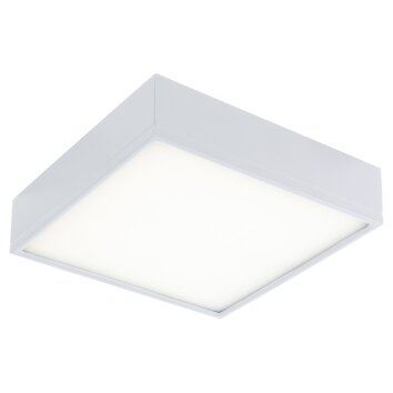 Luce-Design Klio Lámpara de Techo LED Blanca, 1 luz